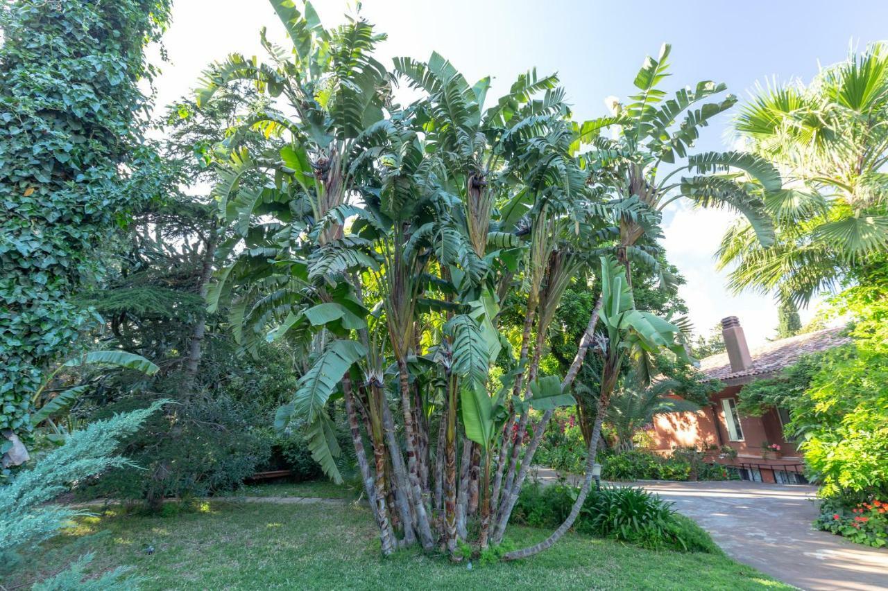 Willa Il Giardino Di Michela By Domusicily Mondello Zewnętrze zdjęcie